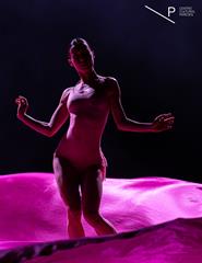 Flamingos