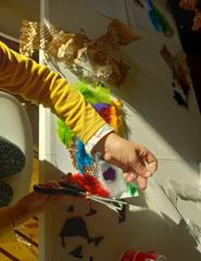 Projeto Curumim - 