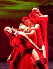 Somos Nós '26 . Academia de Bailado Liliana leite