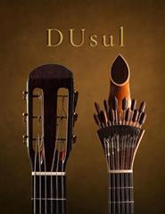 DuSul - Recital de Guitarra por Eudoro Grade e Luís Coelho
