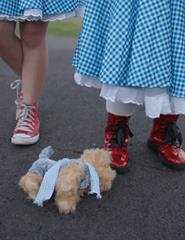 Queer Porto 12 | It’s Dorothy!