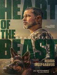 cartaz